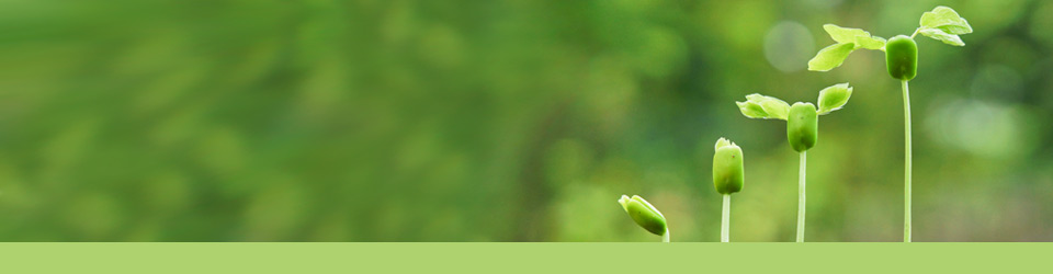 Ernaehrungsberatung - Katrin Kaphengst (Wilp) aus Hamburg